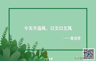 感恩节最新爆料文案,幕后爆料，温情瞬间尽收眼底  第3张