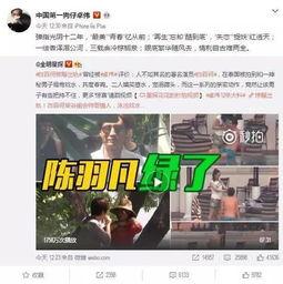 天涯爆料刘文玺是谁啊视频,刘文玺身份之谜  第2张
