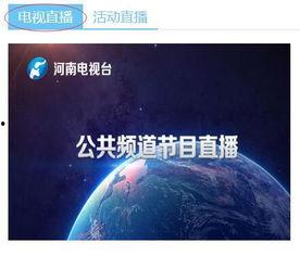 河南卫视回看在线观看,重温经典，畅享视听盛宴  第3张