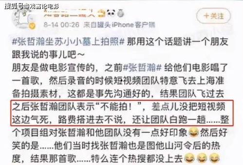 王蒙爆料网络视频,网络视频背后的惊人真相  第2张