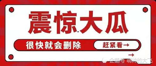 娱乐圈吃瓜标识,揭秘明星幕后故事  第2张