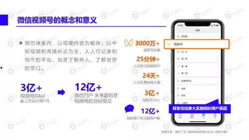 最新僚机爆料新闻视频下载,最新新闻视频下载幕后揭秘  第2张