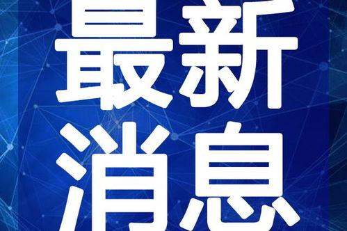 蛋仔岛最新爆料视频,揭秘神秘岛屿的奇幻冒险与未知挑战