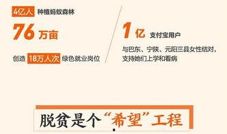 石家庄大学爆料视频播放,揭秘校园内幕  第3张
