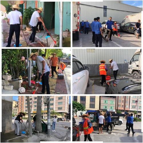 龙湖新溪爆料新闻视频,揭秘神秘项目背后的故事  第2张