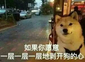 大爆料的真实故事视频,真实故事背后的惊人真相  第1张