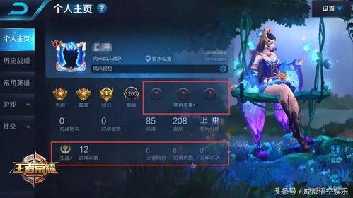 王者英耀新爆料视频大全,视频大全揭秘精彩瞬间与神秘新内容  第1张